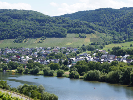 Andel an der Mosel