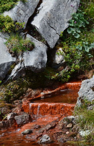 Faszination der eisenhaltigen Quelle