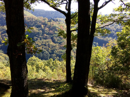 View along the route