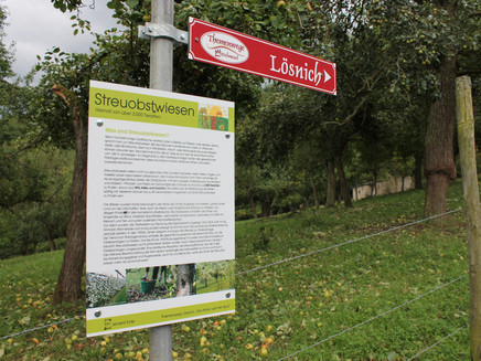 Information board along the path