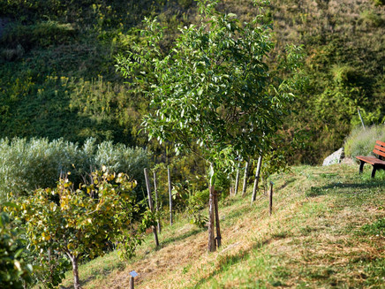 Rest area along the route