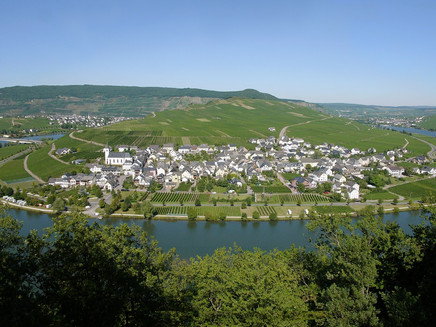 Minheim an der Mosel