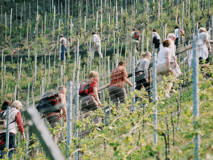 Aufstieg Römersteig