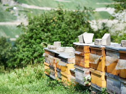 There is so much to discover!