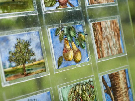 Information board on glass