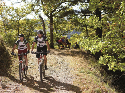 Route over the Moselberg