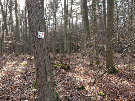 Route logo along the route