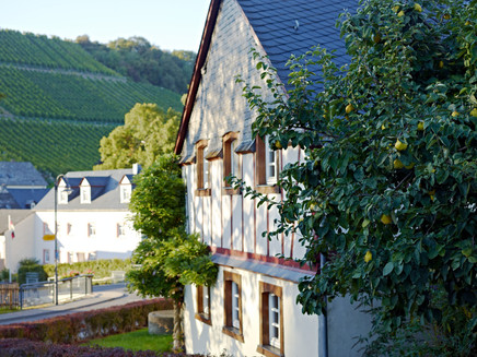 Half-timbered houses in Burgen
