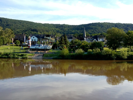 Andel an der Mosel