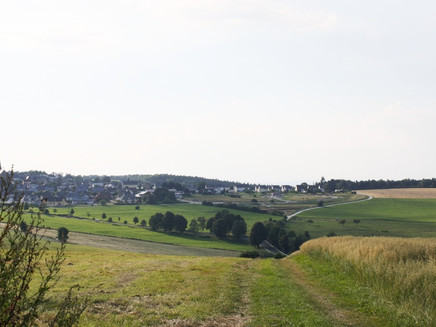 Hunsrück landscape near Monzelfeld