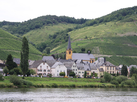 Local view Zeltingen