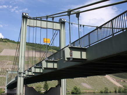 Suspension bridge near Wehlen