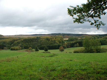 Field landscape in the Hunsrück near Kommen