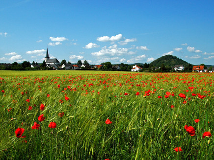 Field landscape along the route