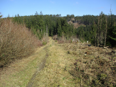 Flowige Single-Trails im Spiegeltal