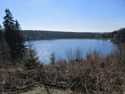 Die Tour führt auch einigen Teichen vorbei, hier z.B. am Großen Kellerhalsteich