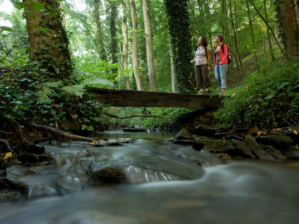 Koberner Castle Path_Wild Romantic Keverbachtal