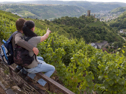 Koberner Castle Path_View towards Niederburg