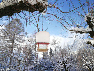 Schneereicher Schnappschuss beim Hotel Kurhaus Grimmialp