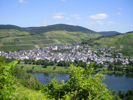 Blick auf Enkirch von Kövenig