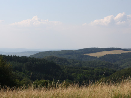 Wandern mit Blick bis an die Mosel