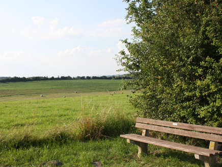Bank mit Aussicht: Wandern an der Mosel