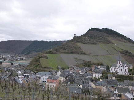 Blick aus der Weinlage Taubenhaus auf den Stadtteil Trarbach mit Rathaus, Evangelischer Kirche und der Ruine Grevenburg