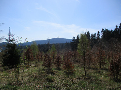Blick zum Brocken von der Luisenbank