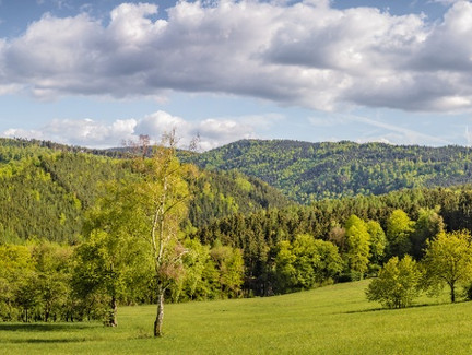 Panorama bei Schwarzburg