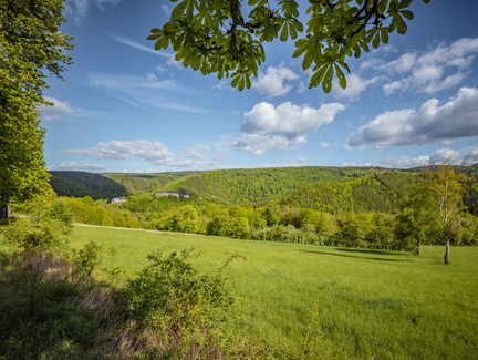 Blick auf Schwarzburg