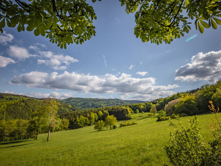 Blick ins Schwarzatal