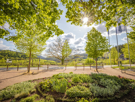 Garten auf Schloss Schwarzburg