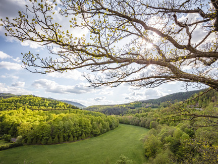 Blick ins Schwarzatal