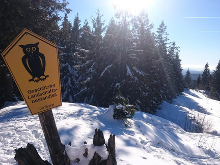 Geschützes Geotop Griffelschieferbruch