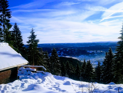 Milonsruhblick zum Fichtelgebirge
