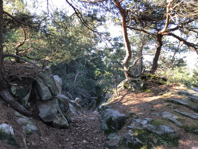 Eselsstieg ab Altenburg