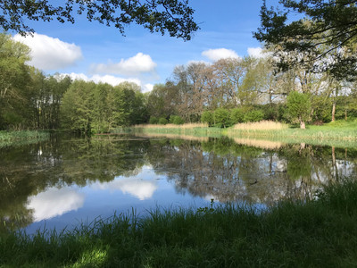 Brockenstedter Mühle Teich