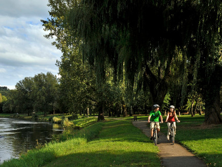 Nebenroute Natur Sauertalradweg