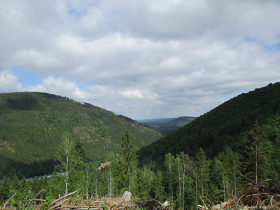 Aussicht ins Okertal