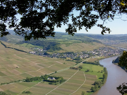 Blick auf Neumagen-Dhron