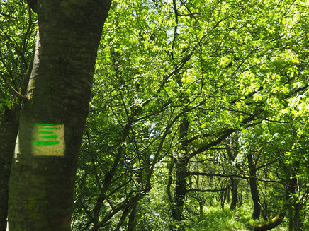 Beschilderung der Strecke