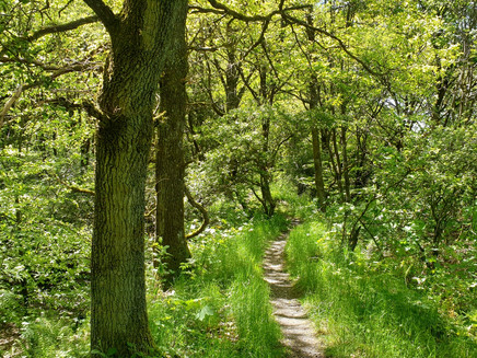 Unterwegs bei den Graacher Schanzen