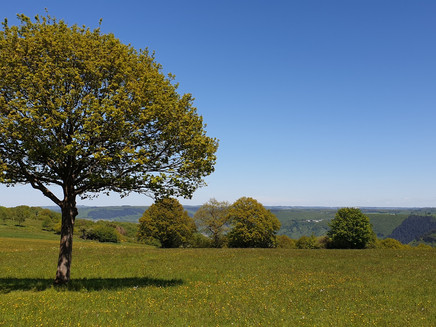 Blick in den Hunsrück
