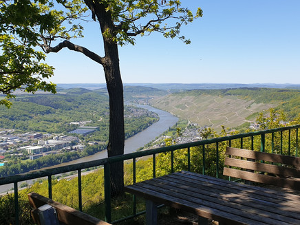 Ausblick aufs Moseltal von Maria Zill