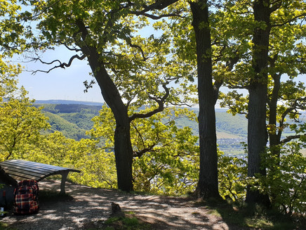 Ruhebank am Aussichtspunkt