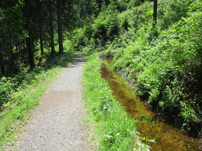 Der Dammgraben bei Altenau