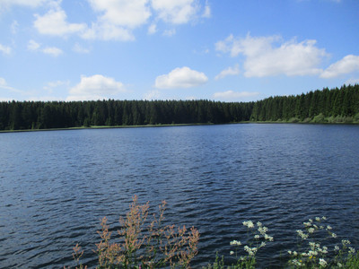 Das Oberharzer Wasserregal