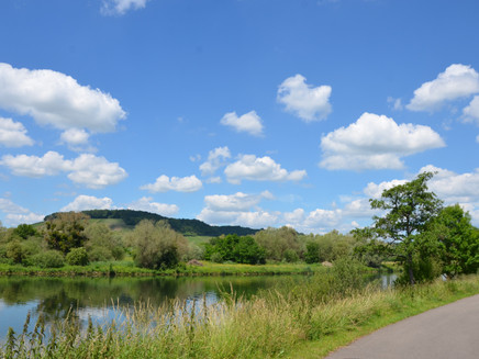 Mosel-Radweg hinter Perl
