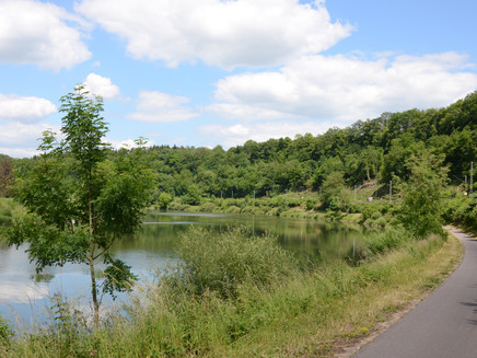 Der Mosel-Radweg bei Wehr