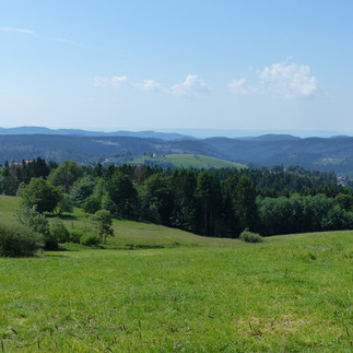 Blick auf die Bergstadt Sankt Andreasberg